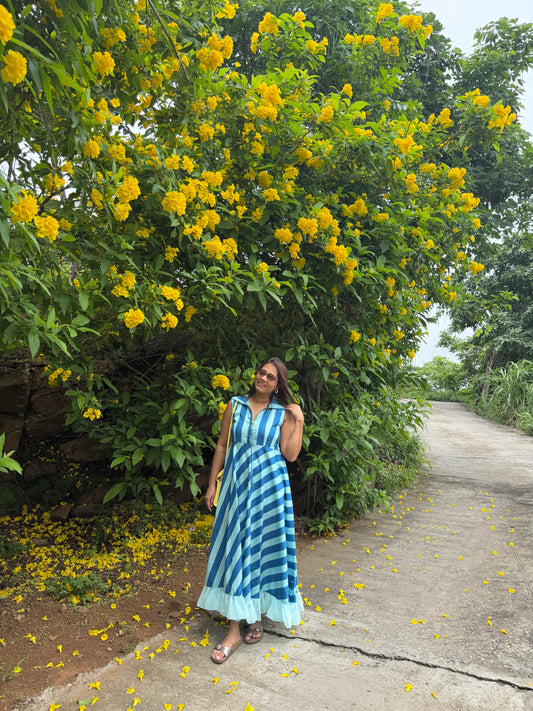 Blue frill stripes dress